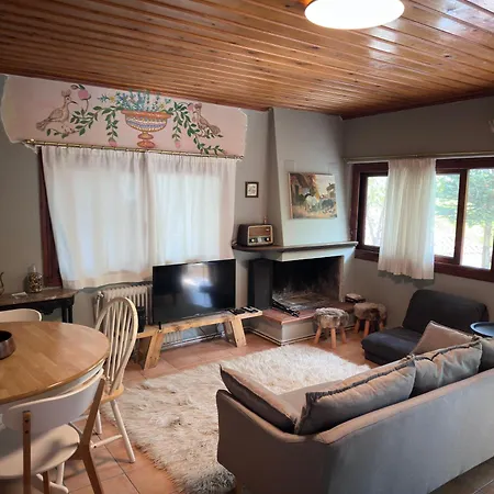 η μεγάλη χαρούμενη αρκούδα Appartement Pavliani