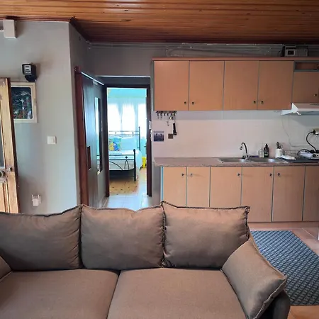 η μεγάλη χαρούμενη αρκούδα *