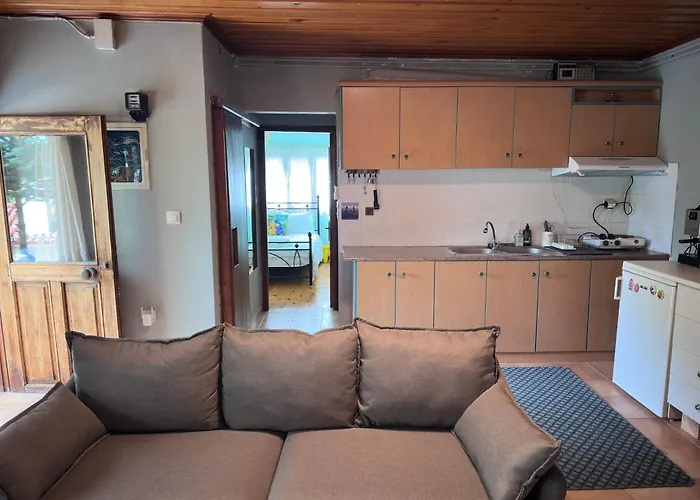 η μεγάλη χαρούμενη αρκούδα *